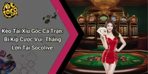 Kèo Tài Xỉu Góc Cả Trận