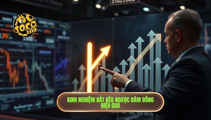 Chi tiết kinh nghiệm bắt kèo ngược đám đông từ chuyên gia SOCOLIVE